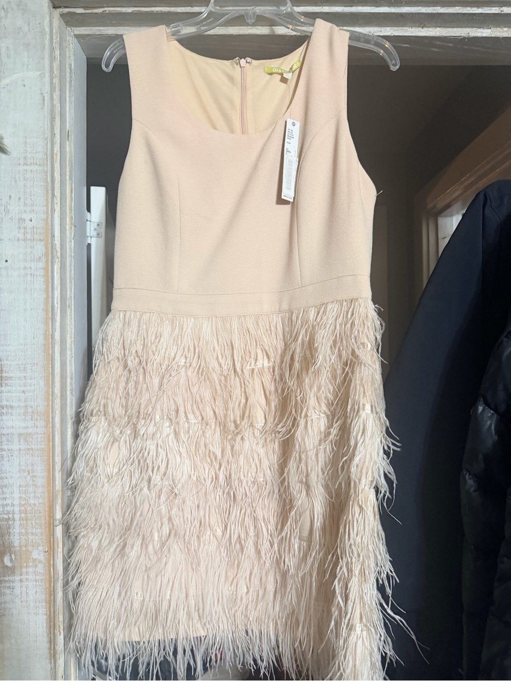 Gianni Bini Bradshaw Blush Feather Fringe Cocktail Mini Dress NWT Size L